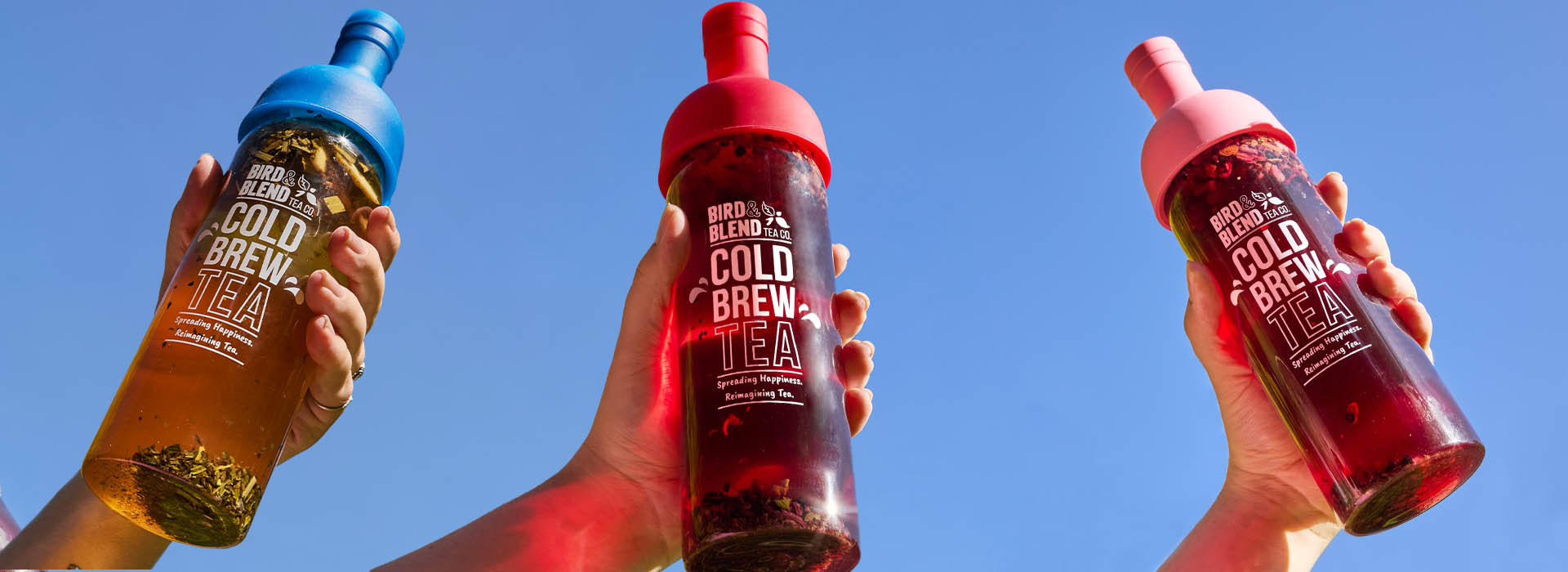 the best cold brew tea blends